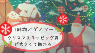 100均 ダイソーのラッピング袋が大きくて便利なので紹介します あさひなパパ